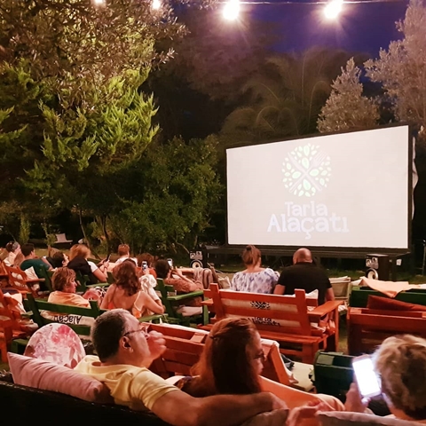 Tarla Alaçatı fotoğrafı