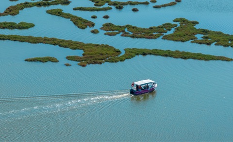 A Fascinating Journey on the Coasts of Gediz: The Flamingo Road fotoğrafı