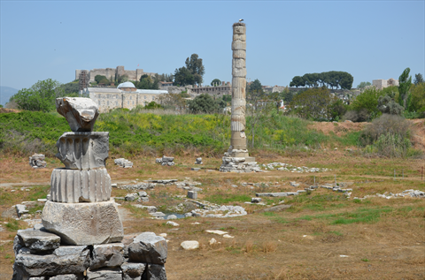 Temple of Artemis fotoğrafı