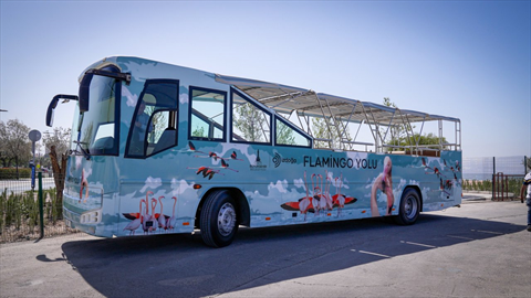 Flamingo Bus Tour fotoğrafı