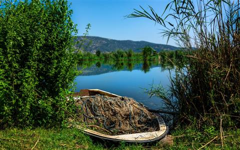 İzmir'in Orman Yürüyüşü Rotaları fotoğrafı