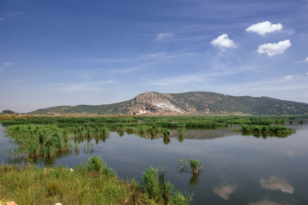 Belevi Sazlığı