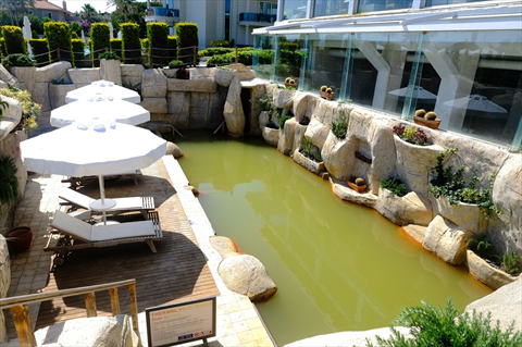 Ilıca Hotel Spa & Wellness Resort fotoğrafı