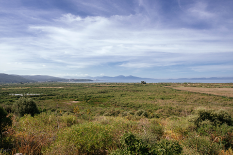 Küçük Menderes Delta, Hakim Hill fotoğrafı