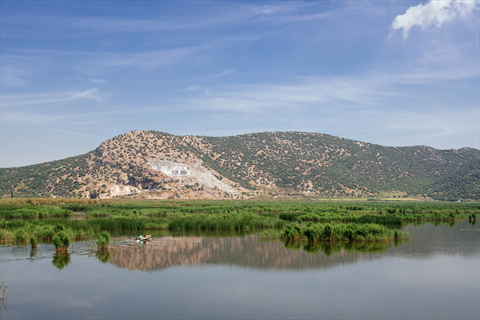 Belevi Reeds fotoğrafı