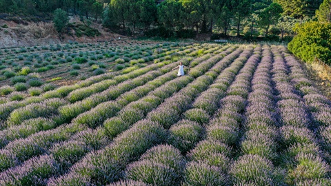 İzmir'deki En İyi 10 Instagram Noktası fotoğrafı