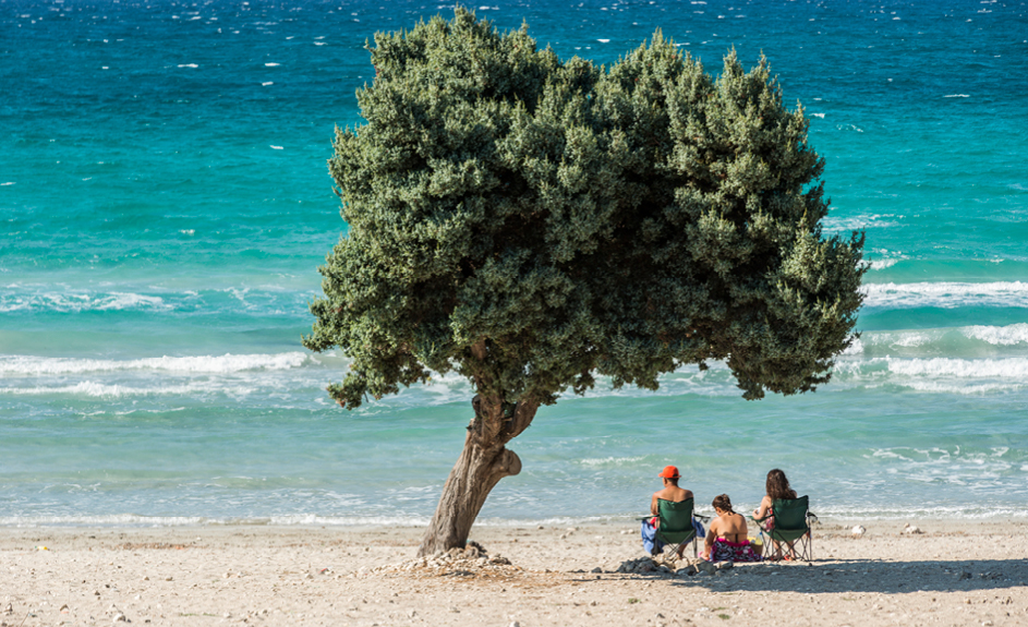 Sea fotoğrafı