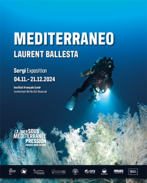 Mediterraneo fotoğrafı