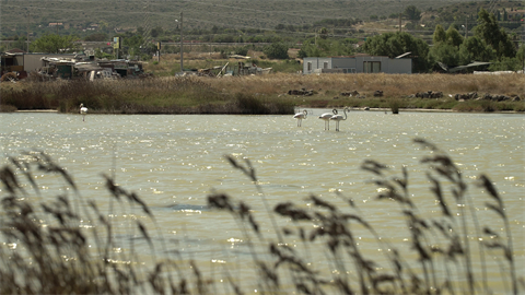 Alaçatı Marshy Land fotoğrafı